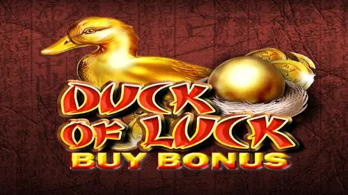 Duck Of Luck Buy Bonus - Spin City - Congo